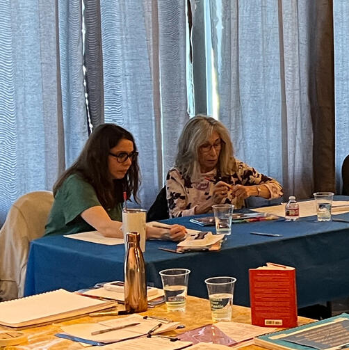 cc witnesst in chair witness